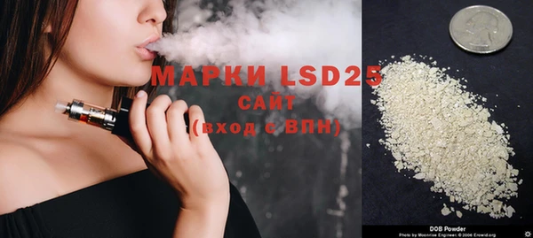ECSTASY Алзамай