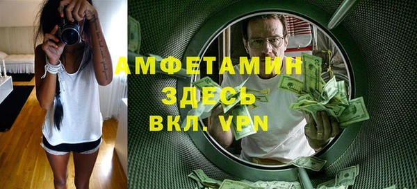 ECSTASY Алзамай