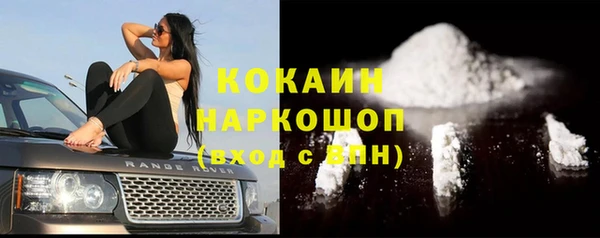ECSTASY Алзамай