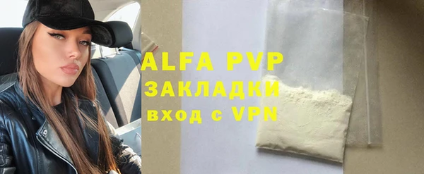 ECSTASY Алзамай