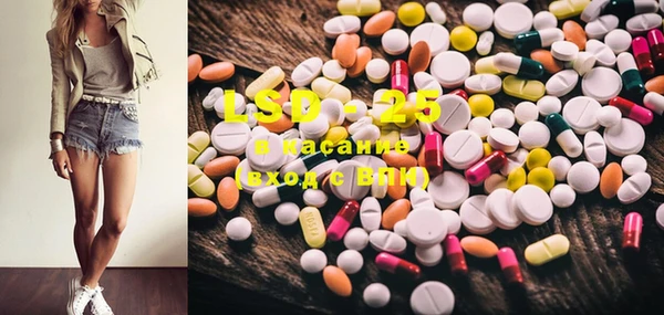 ECSTASY Алзамай