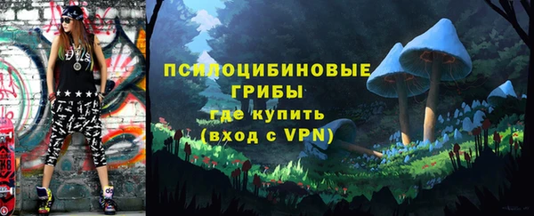 ECSTASY Алзамай