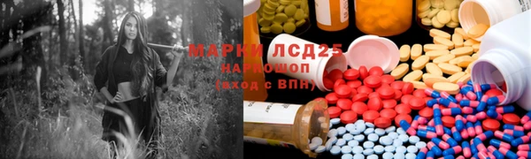 ECSTASY Алзамай