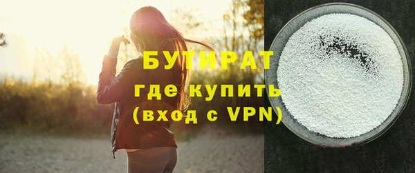 хмурый Пересвет