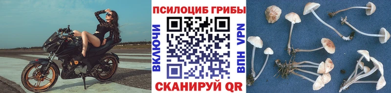 наркошоп  Амурск  МЕГА рабочий сайт  Псилоцибиновые грибы прущие грибы 